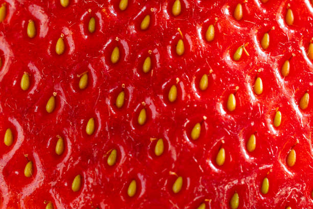 istock Closeup of fresh strawberry 1475140302