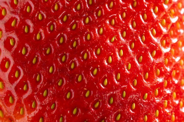 istock Closeup of fresh strawberry 1475140443