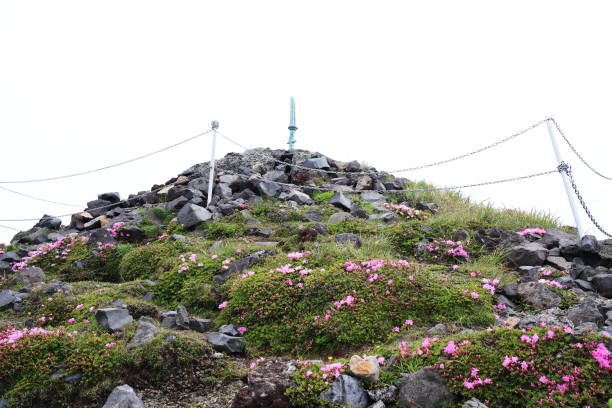 Sakahoko of heaven piercing