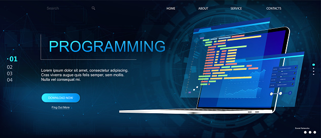 Programming Or Software Development Web Page Template Stock ...