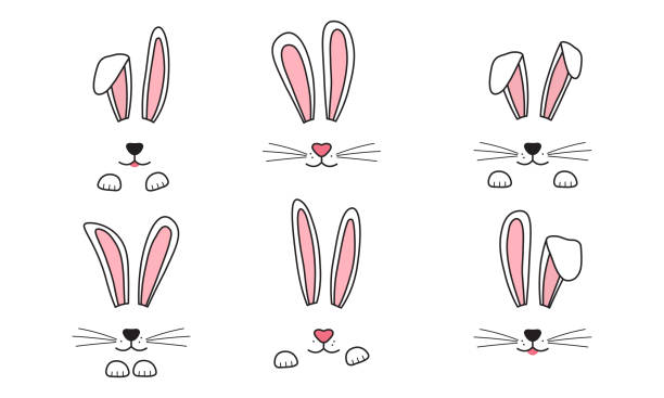 Easter bunny face, rabbit ear with paw, whisker. Doodle hare, cute character vectror icon. Animal hand drawn illustration Easter bunny face, rabbit ear with paw, whisker. Doodle hare, cute character vectror icon isolated on white background. Animal hand drawn illustration ears white background stock illustrations
