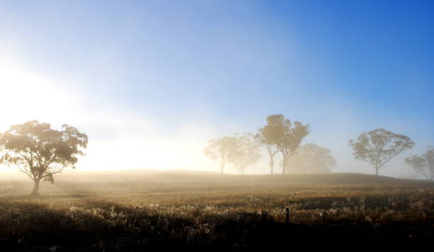 istock Autumn morning sunrise 1475146832
