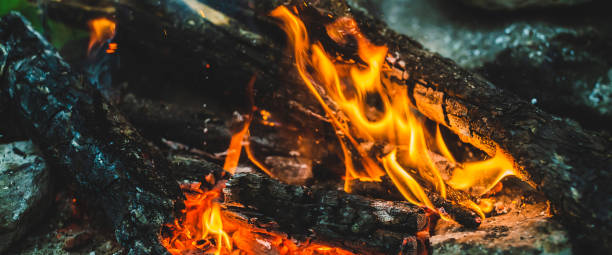 istock Vivid smoldered firewoods burned in fire close-up. Atmospheric warm background with orange flame of campfire and blue smoke. Unimaginable full frame image of bonfire. Burning logs in beautiful fire. 1475150304