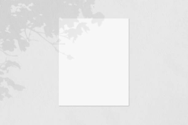 istock Poster Mockup on Outdoor Wall with Tree Shadow 1475152238