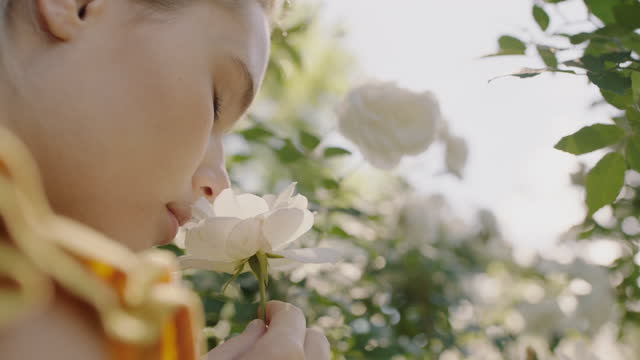beautiful woman smelling roses in blossoming rose garden enjoying natural scent