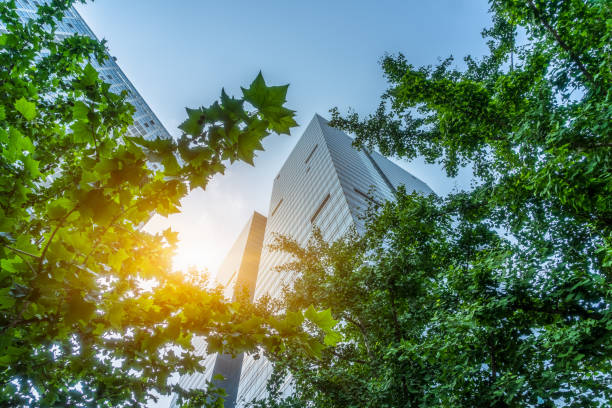 istock modern office building with green leaves 1475157592