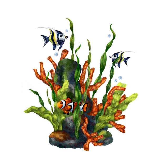 istock A bright composition with an underwater world. Red coral, seaweed, tropical leopard-colored fish and Moorish idol. Digital illustration for printing, stickers, posters, postcards, prints 1475164334