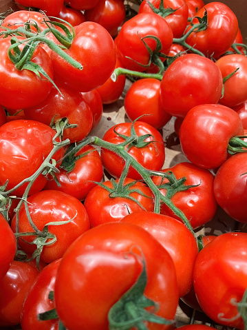 Fresh, ripe vine-ripened red tomatoes available on the grocery store shelf
