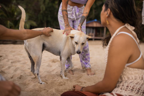 istock Friends with dog on the beach 1475165032