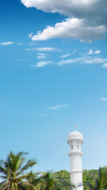 Mosque minaret on the field