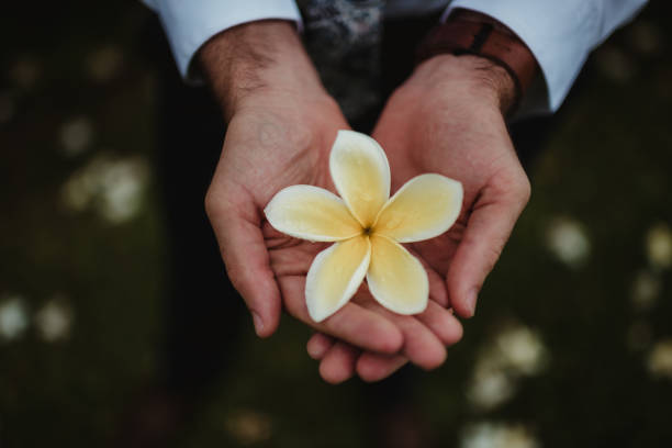 Man holding tropical flower in his hands outdoors