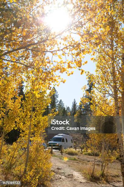 Sun Through Trees On Camper Van In Duck Creek Village In Utah Stock Photo - Download Image Now