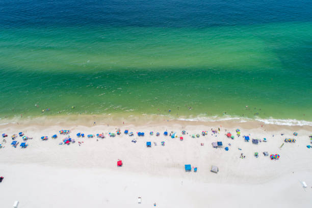 istock Gulf Shores, Alabama Beaches in July 1475171017