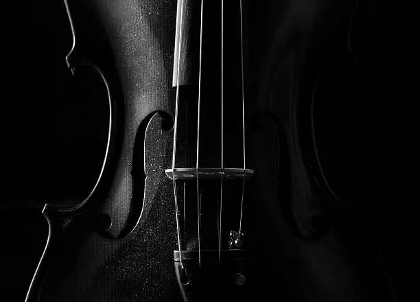 Beautiful dusty viola, shot taken in the dark with shaven light.