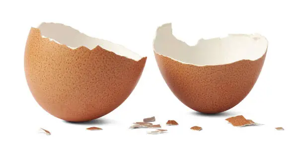 Photo of egg shell broken or crack isolated