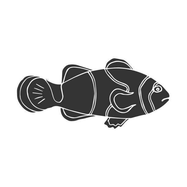 vektor handgezeichnet doodle skizze clown fisch - tropical fish clown fish isolated animal stock-grafiken, -clipart, -cartoons und -symbole