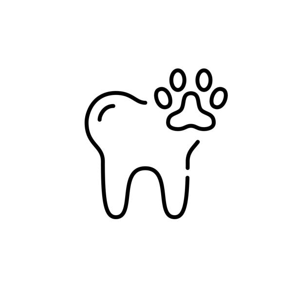 dentysta weterynaryjny. opieka zdrowotna dla zwierząt. idealna ikona obrysu pixel - vet symbol dentist healthcare and medicine stock illustrations