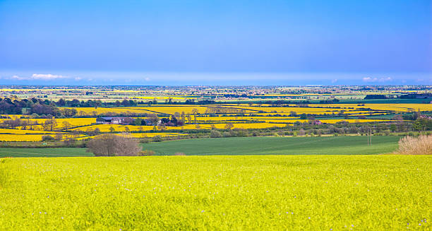 Vista dal lincolnshire wolds - foto stock