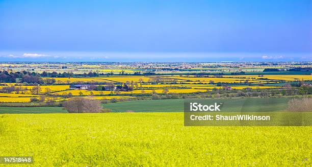 View From Lincolnshire Wolds Stock Photo - Download Image Now - Lincolnshire, Agricultural Field, Rural Scene