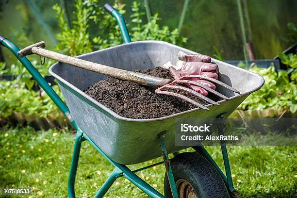 Gardening Stock Photo - Download Image Now - Yard - Grounds, Vegetable Garden, Repairing