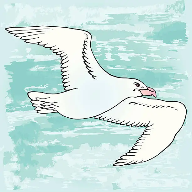 Vector illustration of Ice gull (vector)