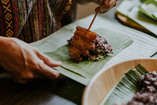 Senior adult hand preparing food for her delivery, grilled pork with sticky rice.