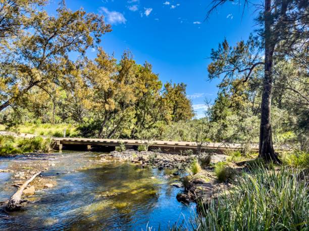 istock Bridge on the Severn River, Australia 1475195462
