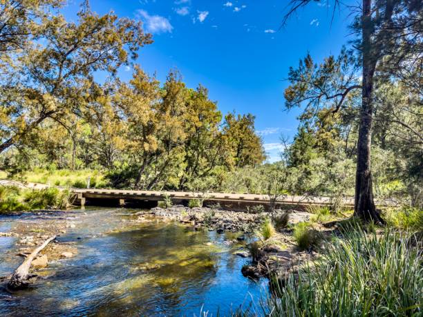 bridge on the severn river, australia - spring forest scenics reflection imagens e fotografias de stock