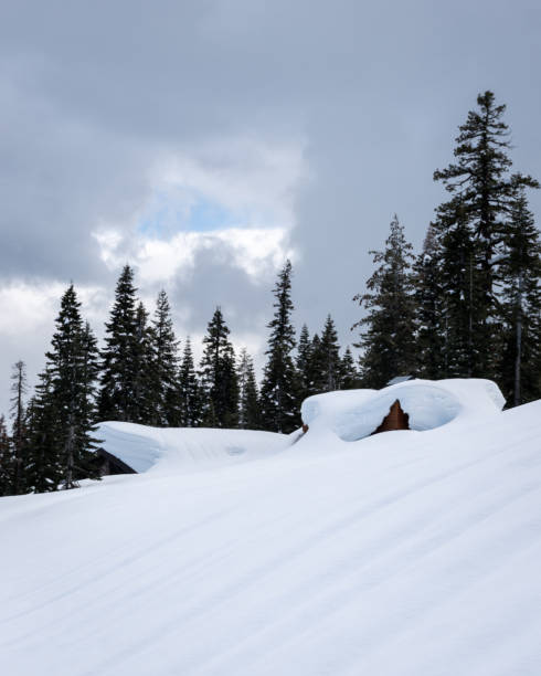 istock Cabins Buried in Snow 1475197656