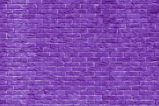 A lavender plant shot against a stone, terracotta wall in southern France. The lavender is in blossom and perfectly depicts life in the Provence