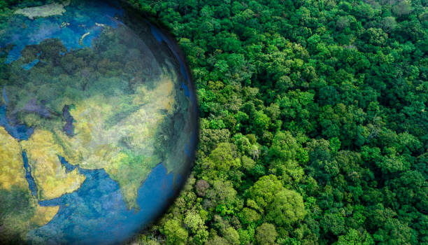 Atmospheric  Aerial view of green forest and land Demonstrates the concept of preserving the ecosystem and the natural environment at its best and preserving the earth and preserving forests. Atmospheric  Aerial view of green forest and land Demonstrates the concept of preserving the ecosystem and the natural environment at its best and preserving the earth and preserving forests. tropic of capricorn stock pictures, royalty-free photos & images