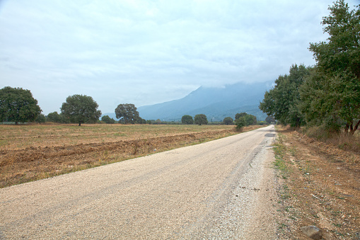 dirt road to village