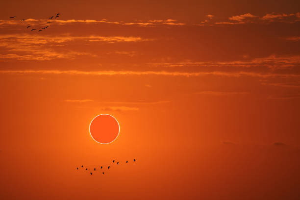 Total solar eclipse on the red orange sky in the mornning, Elements of this image furnished by NASA