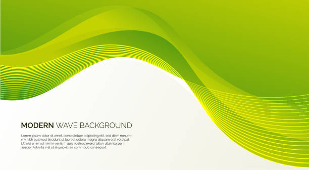 illustrazioni stock, clip art, cartoni animati e icone di tendenza di illustrazione di sfondo astratto del vettore ondulato bianco e verde con linee curve e sfumatura - green
