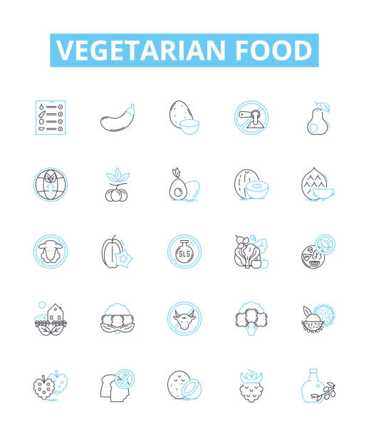 ilustraciones, imágenes clip art, dibujos animados e iconos de stock de conjunto de iconos de línea vectorial de comida vegetariana. verduras, frijoles, lentejas, tofu, quinua, tempeh, legumbres ilustración esquema símbolos conceptuales y signos - bean avocado radish nut