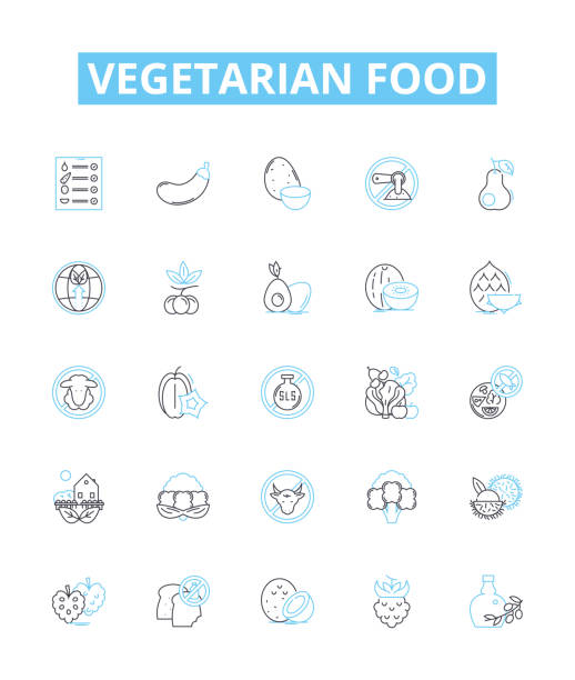 набор векторных линий вегетарианской еды. овощи, фасоль, чечевица, тофу, киноа, темпе, бобовые иллюстрация контура концептуальных символов � - bean avocado radish nut stock illustrations