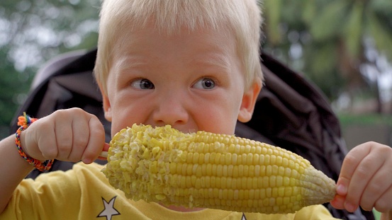 Close-up of a little boy sitting outdoors in a baby stroller, holding corn in his hands and eating it with great appetite. He bites off a few grains from the cob and chews thoroughly