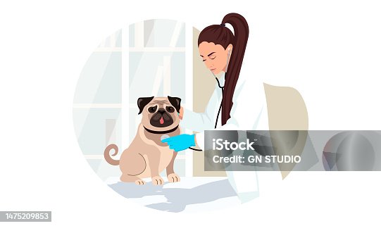 istock Bulldog at veterinary visit in medical clinic office. Pug dog puppy not anxiety and stress on therapy at vet appointment of veterinarian young woman. Vector illustration isolated on white background 1475209853