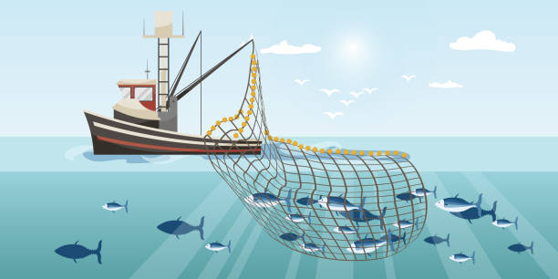 kommerzielles fischereischiff mit vollem fischnetz. cartoon-fischerboot, das im meer oder im meer arbeitet und mit wadenfängen thunfisch, hering, sardine, lachs fängt. industrieschiff in der meereslandschaft. vektor-illustration - commercial fishing net netting net fishing stock-grafiken, -clipart, -cartoons und -symbole