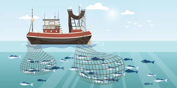 Vector illustration of Commercial fishing ship with two full fish net. Cartoon fishing boat working in sea or ocean catching by seine seafood tuna, herring, sardine, salmon. Industry vessel in seascape. Vector illustration