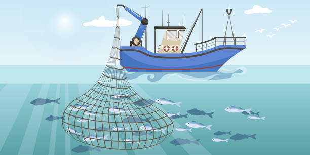 Commercial fishing ship with full fish big net. Cartoon fishing boat working in sea or ocean catching by seine seafood tuna, herring, sardine, salmon. Industry vessel in seascape. Vector illustration Commercial fishing ship with full fish big net. Cartoon fishing boat working in sea or ocean catching by seine seafood tuna, herring, sardine, salmon. Industry vessel in seascape. Vector illustration sailboat mast stock illustrations