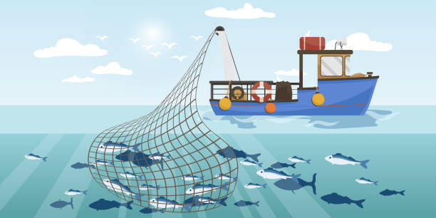 kommerzielles fischereischiff mit vollem fischnetz. cartoon-fischerboot, das im meer oder im meer arbeitet und mit wadenfängen thunfisch, hering, sardine, lachs fängt. industrieschiff in der meereslandschaft. vektor-illustration - commercial fishing net netting net fishing stock-grafiken, -clipart, -cartoons und -symbole