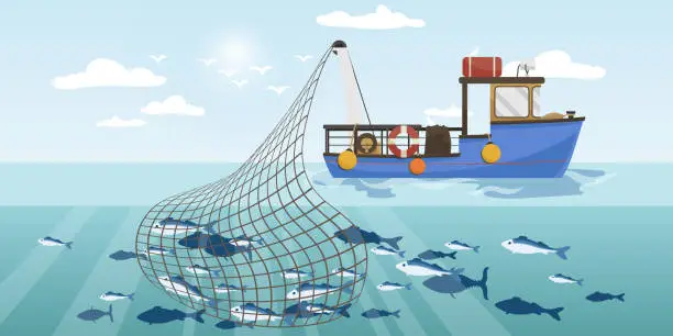 Vector illustration of Commercial fishing ship with full fish big net. Cartoon fishing boat working in sea or ocean catching by seine seafood tuna, herring, sardine, salmon. Industry vessel in seascape. Vector illustration