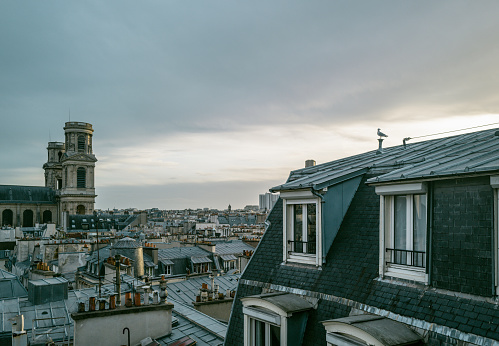 View over the zinc roofs of Paris right bank at sunset in summer. Column of Place Vendôme in the center, and the Opera on the right.  France.
