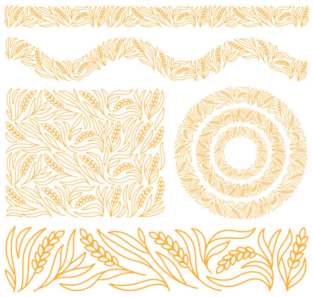 ilustrações, clipart, desenhos animados e ícones de kit de design de trigo para padaria. conjunto de ornamentos de cereais. traçado de contorno editável. linha vetorial. - wheat flour cereal plant field