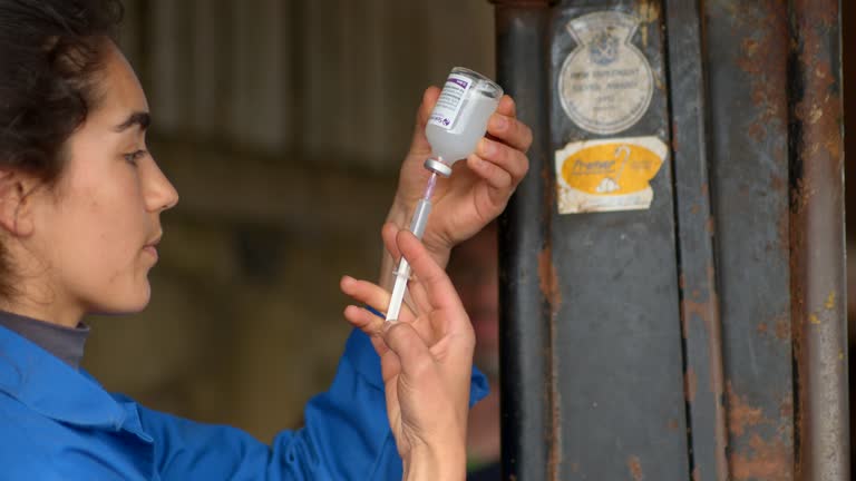 Female Farmworker Preparing the Vaccinations