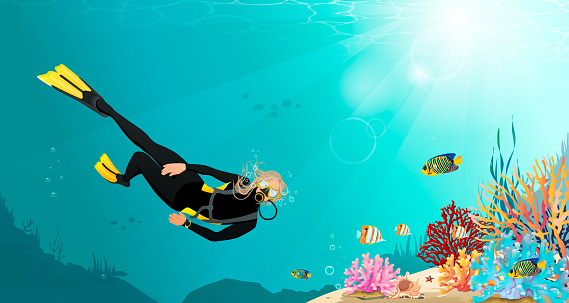 Colorful seascape with woman free diver exploring sea bottom with coral reef, fish. Girl in mask and wetsuit underwater swimming with ocean wildlife, female character snorkeling. Vector illustration