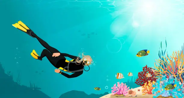 Vector illustration of Colorful seascape with woman free diver exploring sea bottom with coral reef, fish. Girl in mask and wetsuit underwater swimming with ocean wildlife, female character snorkeling. Vector illustration