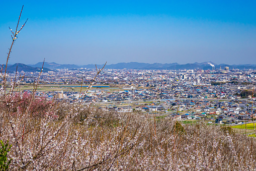 General view of Tokushima Cityscape in Tokushima Prefecture, Shikoku, Japan. Tokushima is the capital city of Tokushima Prefecture on Shikoku in Japan.