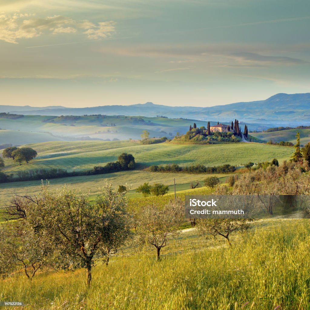 Farm de Toscana - Foto de stock de Agricultura libre de derechos